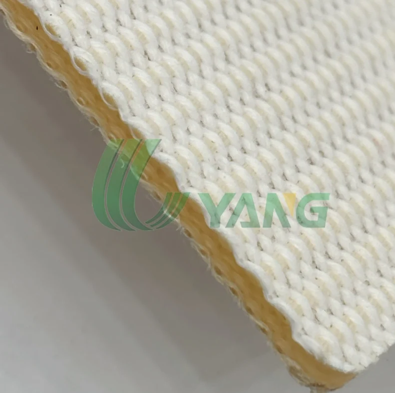 PVC Conveyor Belt