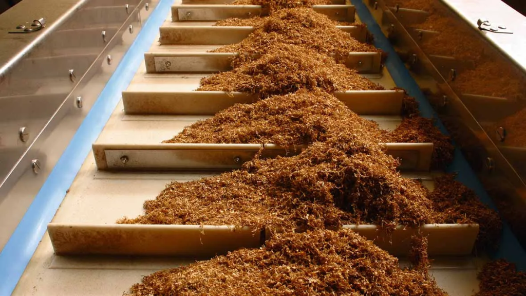 TPEE conveyor belt