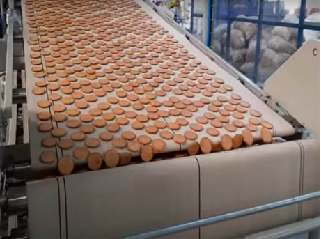 Cotton Canvas Conveyor belts
