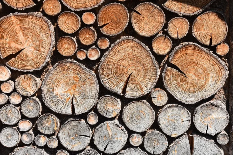 wood