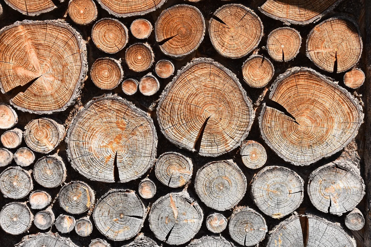 wood