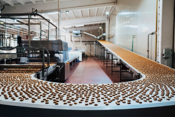 PVC Conveyor belt