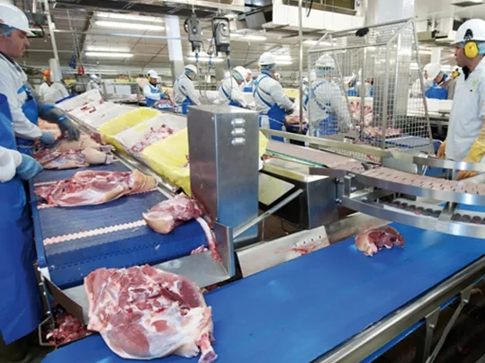 The Best Conveyor Belt Solutions for Hygienic Meat and Poultry Production