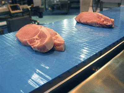 What Are the Key Strategies to Prevent Bacteria on Conveyor Belts in Food Plants