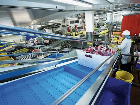 How to Choose Conveyor Belts That Survive Freezer and Washdown Environments