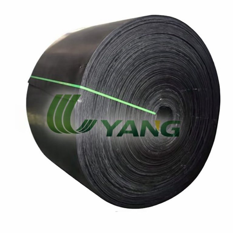 ChatGPT Image Feb 11, 2026, 03_49_43 PM