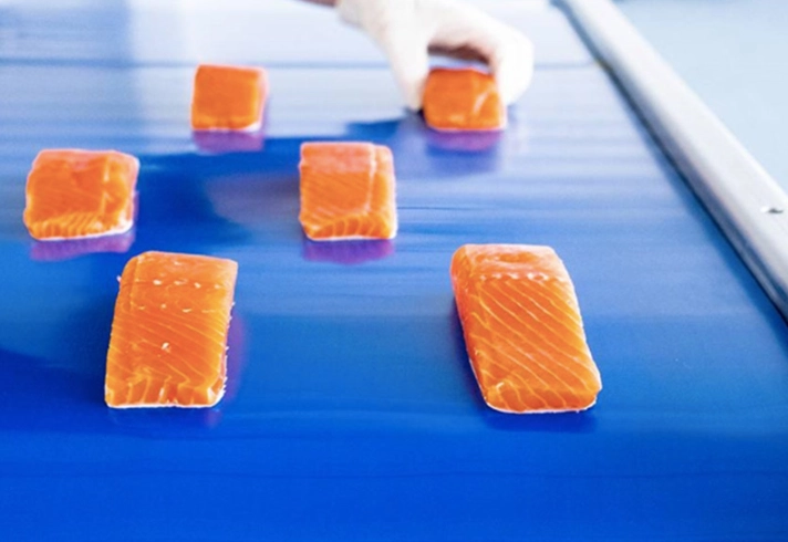 The Ultimate Selection Guide for Modular Plastic vs PVC Food Conveyor Belts