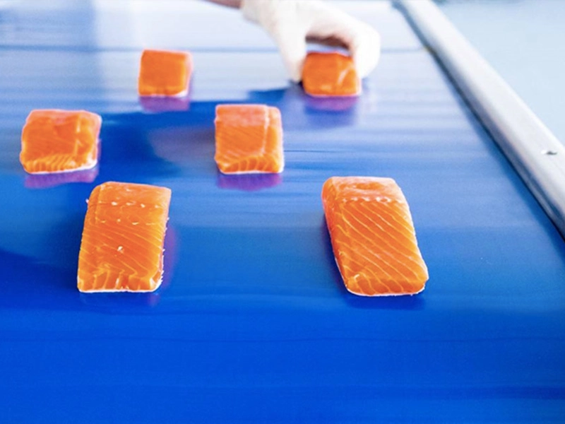Food Grade PU Conveyor Belt Guide Blue vs White PU Belt