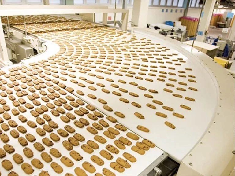 How PU Conveyor Belts Improve Product Grip and Sanitation in Wet Food Lines